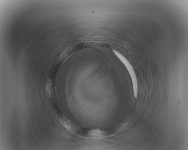 X0000064060231200602171745