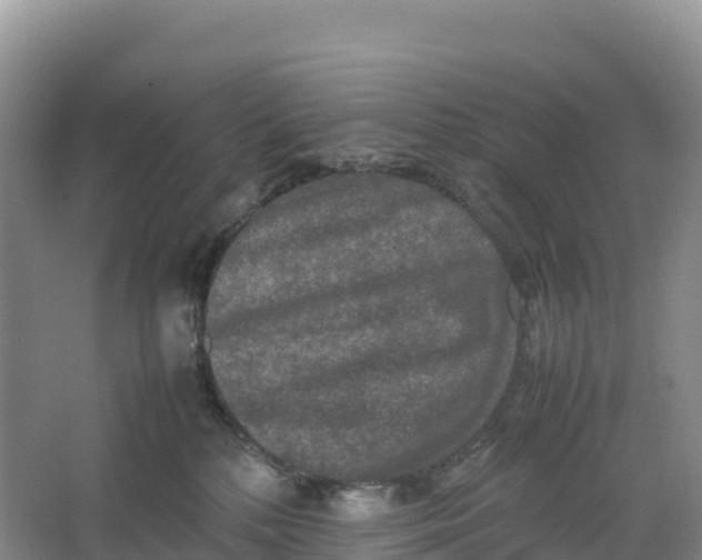 X0000064060232200602171745