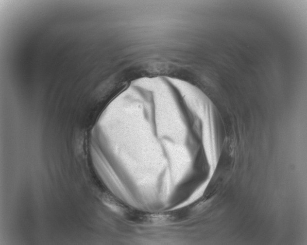 X0000064060233200602171745