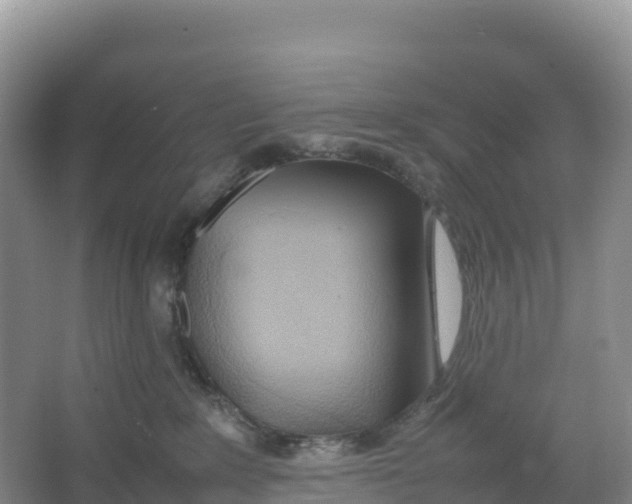 X0000064060235200602171745