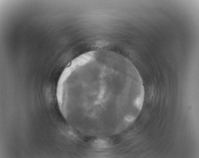 X0000064060236200602171745