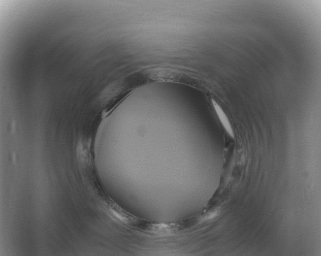 X0000064060239200602171745