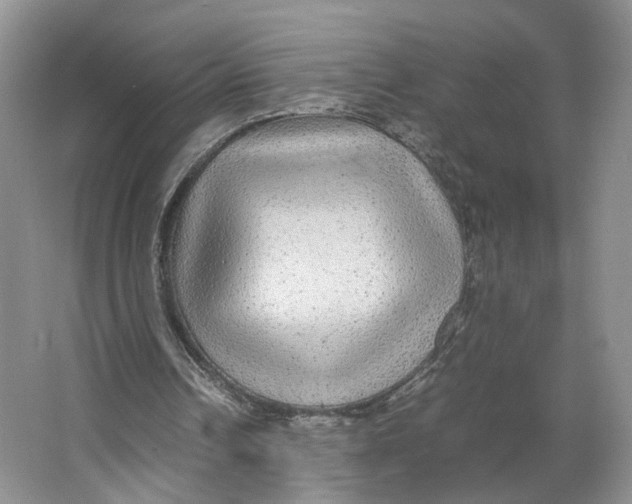 X0000064060242200602171744