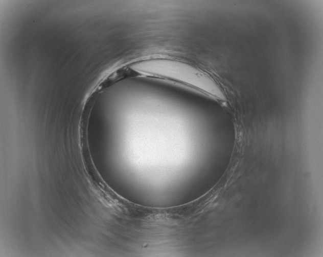 X0000064060244200602171744