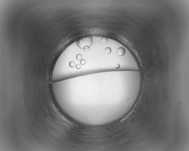 X0000064060249200602171744
