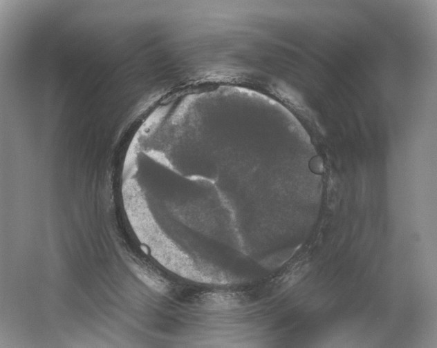 X0000064060250200602171744