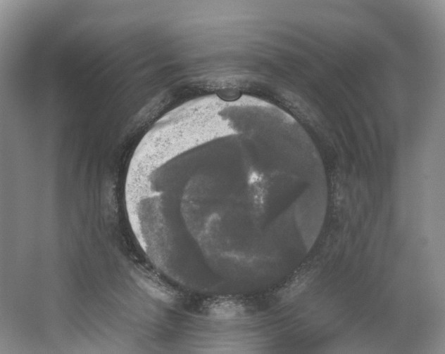 X0000064060258200602171744