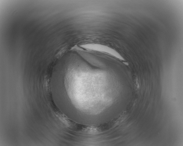 X0000064060276200602171744