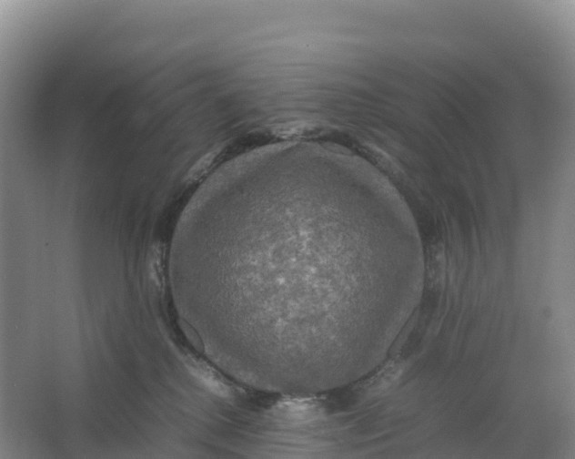 X0000064060280200602171745