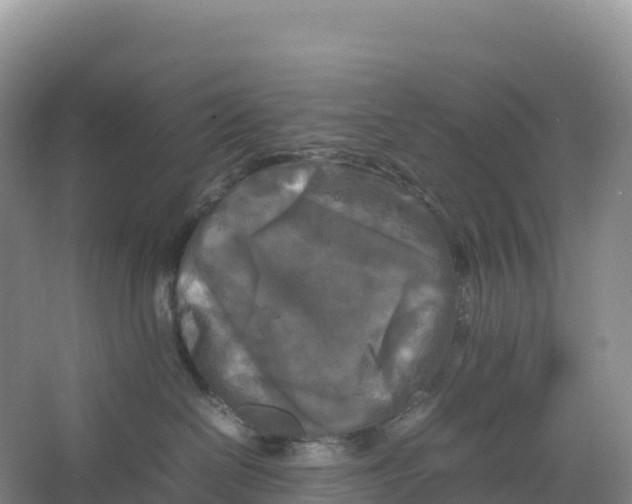 X0000064060286200602171745