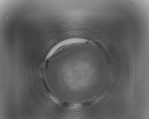 X0000064060288200602171745