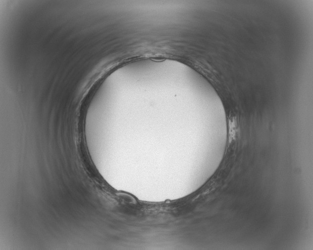 X0000064060291200602171744
