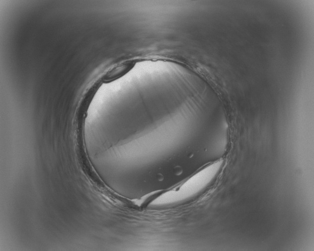 X0000064060295200602171744