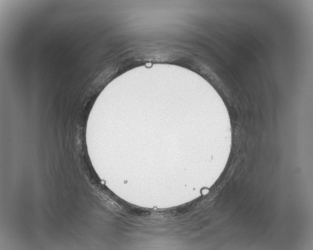 X0000064060305200602171744
