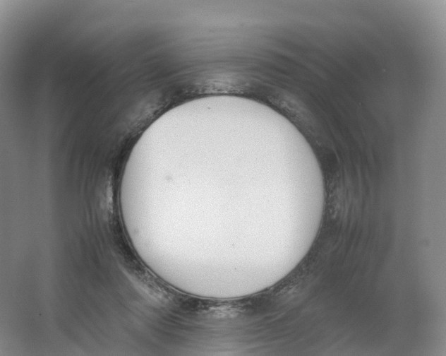 X0000064060310200602171744