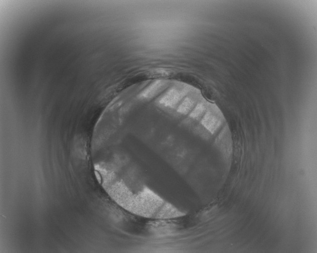 X0000064060331200602171743