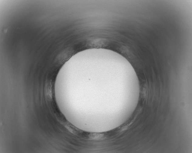 X0000064060334200602171743