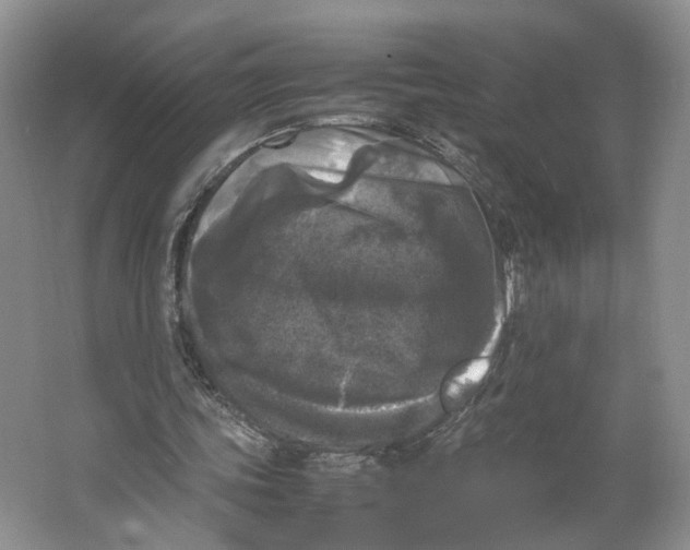 X0000064060339200602171742
