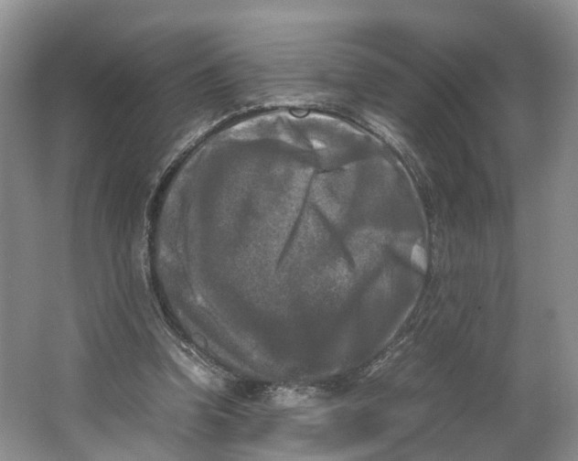 X0000064060346200602171742