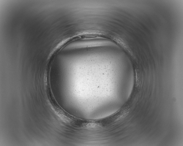 X0000064060348200602171742