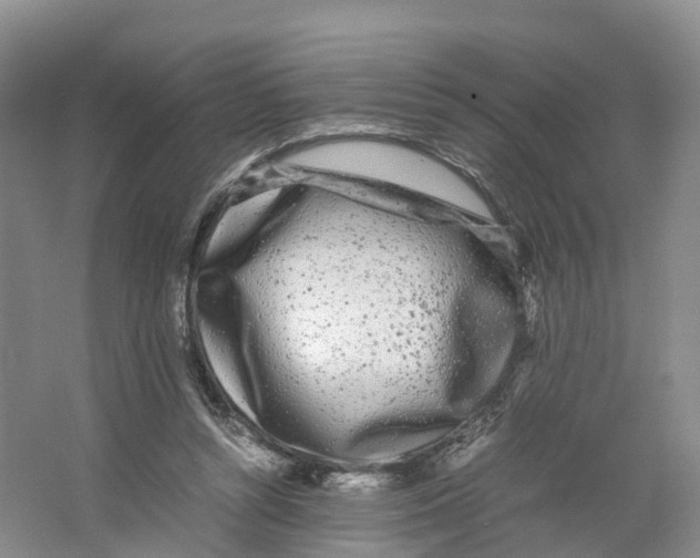 X0000064060352200602171743