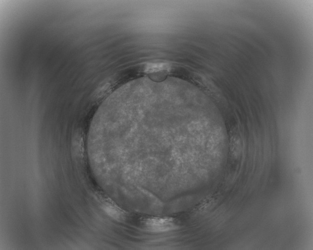 X0000064060375200602171743