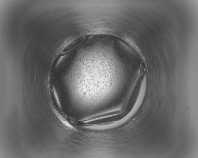X0000064060389200602171742