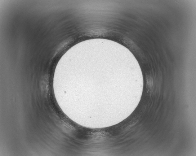X0000064060396200602171742