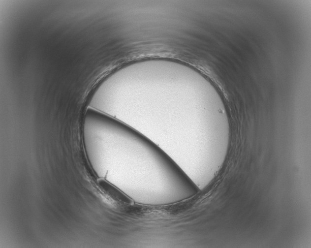 X0000064060397200602171742