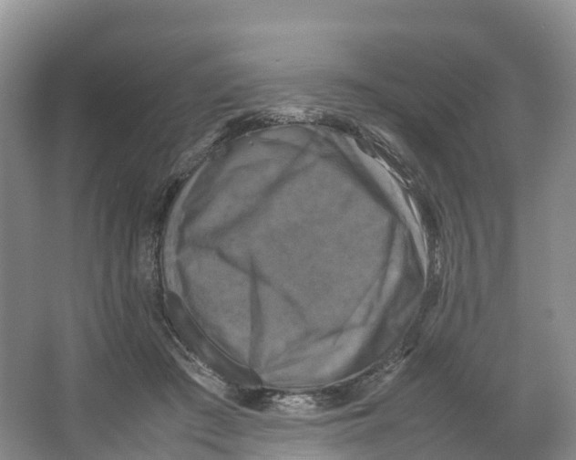 X0000064060409200602171742