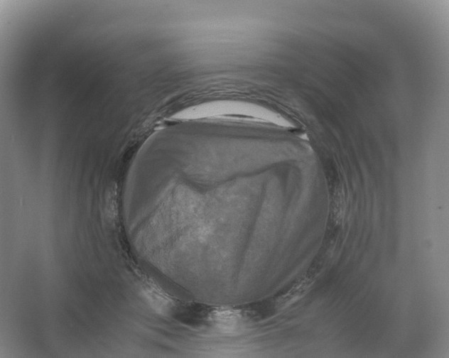 X0000064060413200602171742