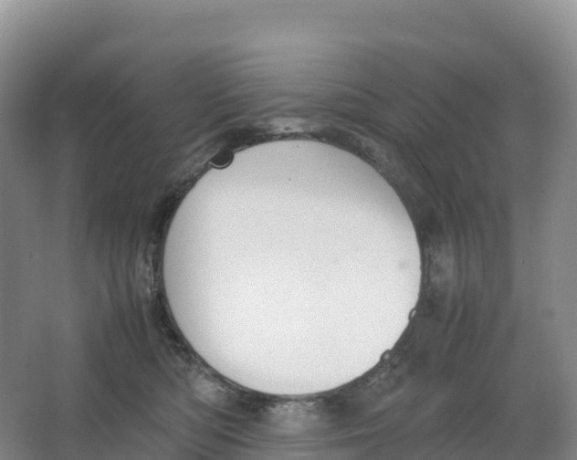 X0000064060422200602171742
