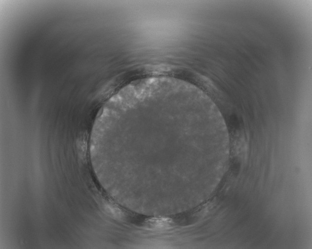 X0000064060427200602171742