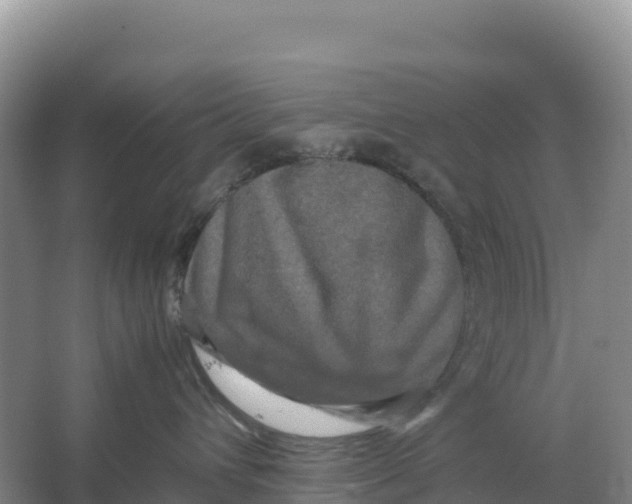 X0000064060432200602171741