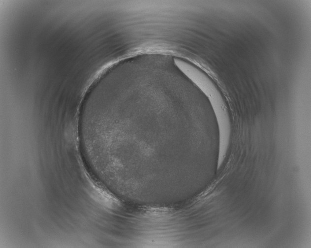 X0000064060438200602171741