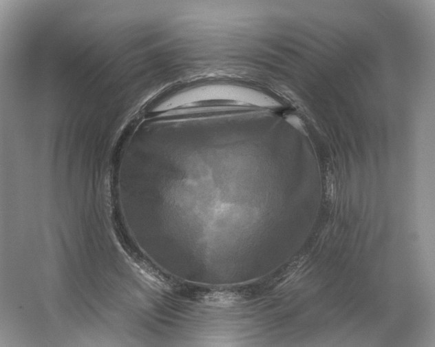 X0000064060444200602171741