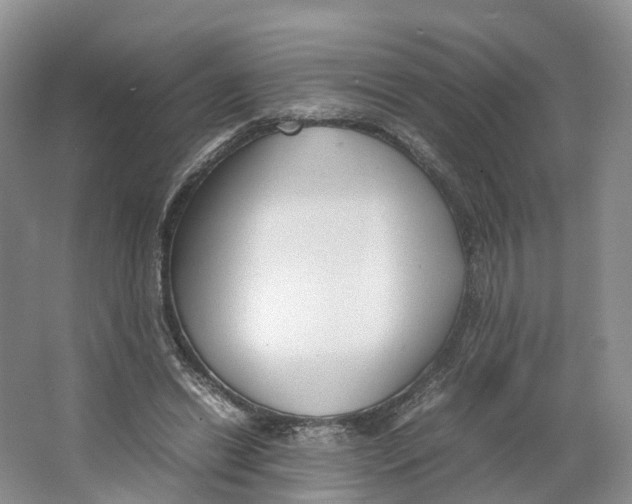 X0000064060446200602171741