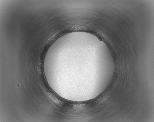 X0000064060450200602171741