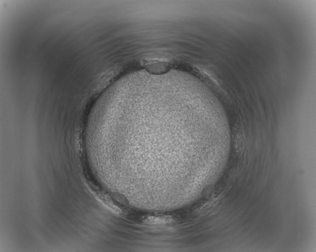 X0000064060455200602171741