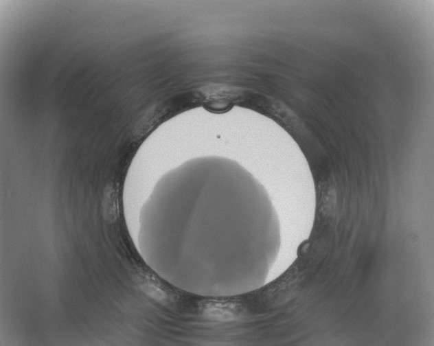 X0000064060471200602171741