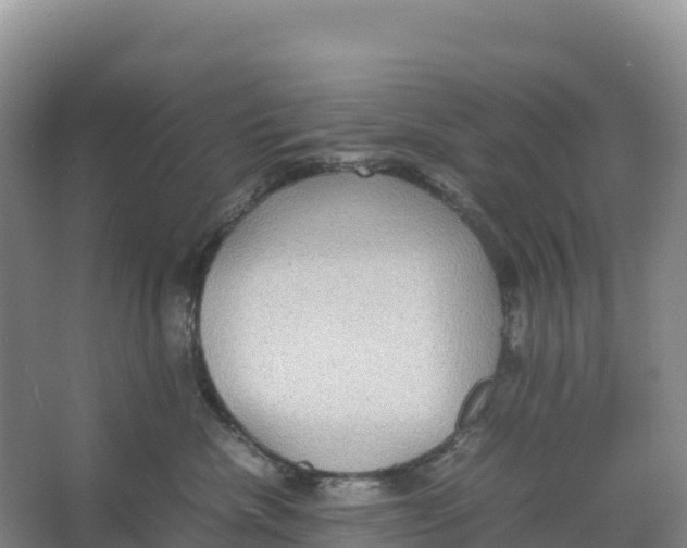 X0000064060476200602171741