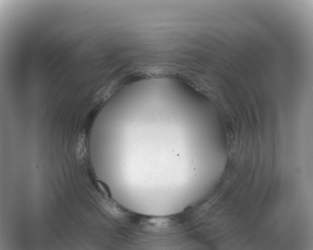 X0000064060478200602171741