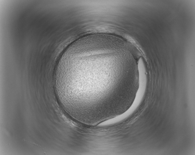X0000064060481200602171741