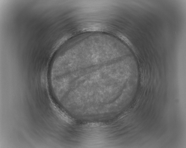 X0000064060482200602171741