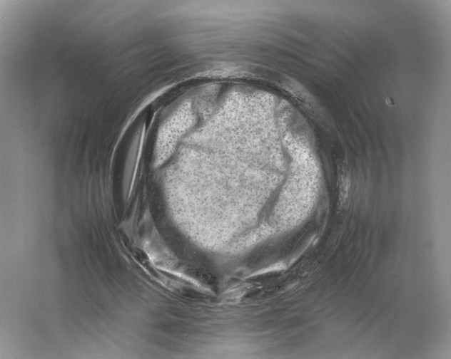 X0000064060484200602171741