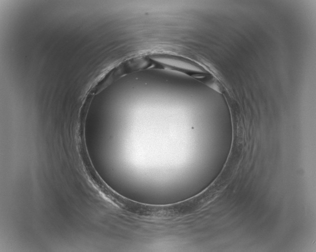 X0000064060485200602171741