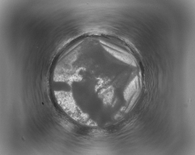 X0000064060487200602171740