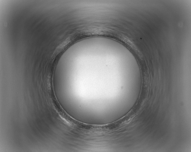 X0000064060489200602171740