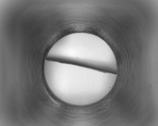 X0000064060497200602171740