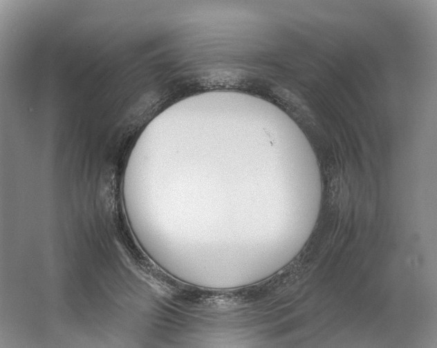 X0000064060498200602171740